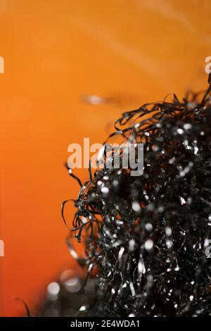 Metal Wire dish cleaner macro stampa moderna di alta qualità Foto Stock