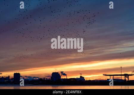 cavo ad alta tensione attraverso il fiume enns Foto Stock