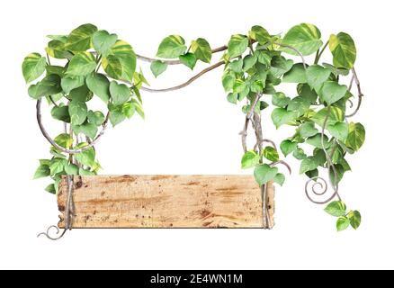 Tavola di legno d'epoca con rami di liana e foglie tropicali. Sfondo esotico con tavola di legno, piante di giungla e spazio di copia per il testo. Isolato Foto Stock