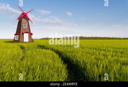 Mulino a vento in un campo di grano Foto Stock