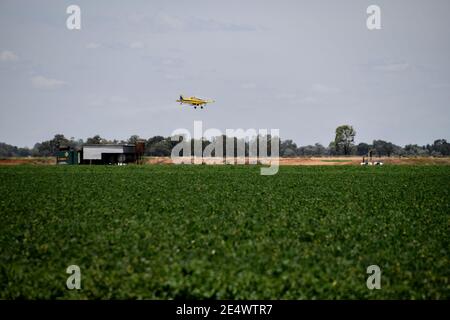 Raccolto che spolverano aeromobili che lavorano su Green Farm in posizione rurale Foto Stock