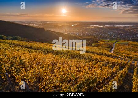 Tokaj, Ungheria - Vista aerea dei vigneti ungheresi di fama mondiale della regione vinicola Tokaj con la città di Tokaj e il sole dorato che sorge sullo sfondo Foto Stock