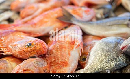 Pesce fresco su bancarella di mercato con ghiaccio per la vendita occhio Foto Stock