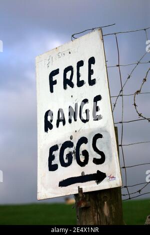 Free Range uova in vendita a lato della strada rurale in Devon. Inghilterra. Le uova della gamma libera non possono essere vendute nel Regno Unito dal 21st marzo 2022 a causa dell'influenza aviaria. Foto Stock