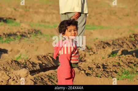 Un bel bambino indiano è andato a vedere il raccolto cresciuto nel suo campo durante i mesi invernali con il nonno, l'india Foto Stock