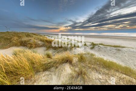 Vista panoramica della duna di sabbia sulla costa del mare del Nord al tramonto vicino Wijk aan Zee, provincia Noord Holland, Paesi Bassi. Paesaggio scena di europeo n Foto Stock
