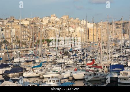 Vele marina a Vittoriosa, sullo sfondo skyline di Senglea, Malta Foto Stock