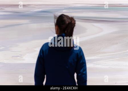 Vista posteriore di esploratore femminile in piedi nel deserto di Atacama e. godendo di paesaggi pittoreschi Foto Stock