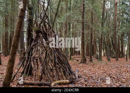 Un bivacco fatto da bastoni e rami in un piccolo woodland sulla piana di Salisbury Foto Stock