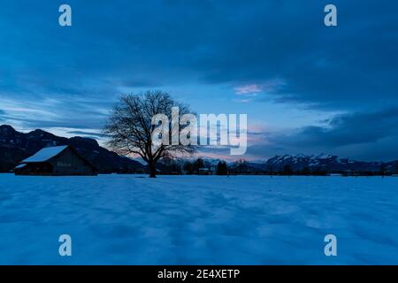 Tenera alba colorata nella valle del Reno. Schöner Sonnenaufgang im Rheintal. Fienile e albero singolo su campo innevato. Stadel und einzelner Baum. Austria Foto Stock