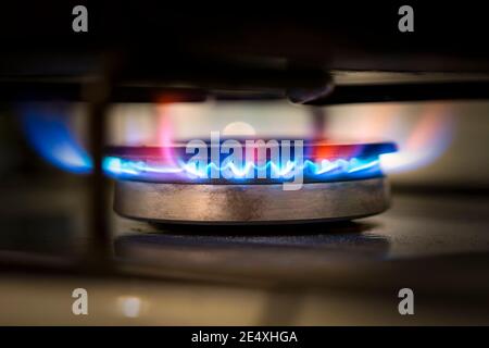 Il gas di propano blu brucia sulla stufa a gas della cucina. Fuoco selettivo. Gas naturale di consumo Foto Stock