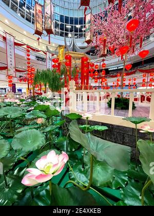 ig Time businessman inaugurare il nuovo anno cinese con grande esposizione di decorazioni al loro centro commerciale. Lanterna sono ornamenti decorativi preferiti Foto Stock