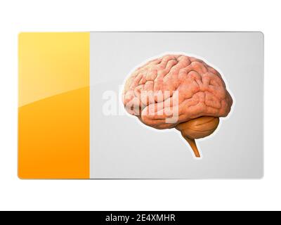 Simbolo del cervello, pulsante, creatività, idea del romanzo, concetto di scienza e tecnologia. Rete neurale. Test IQ, intelligenza artificiale . Brainstorm penso Foto Stock