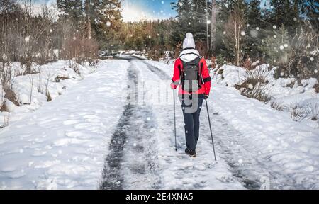 Giovane donna con pali nordici cammina attraverso la neve. Foto Stock