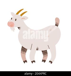 Cute illustrazione bianca della capra, disegno dell'animale della fattoria, clipart del vettore isolato Illustrazione Vettoriale