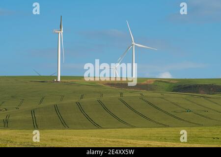 Parco eolico su terreno agricolo che mostra turbine eoliche nella regione di Overberg, Capo Occidentale, Sud Africa concetto di energia rinnovabile verde in Africa Foto Stock