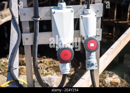 Primo piano delle prese elettriche per esterni con spine e cavi Foto Stock