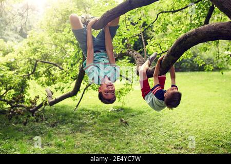 Due ragazzi felice appeso su albero in estate park Foto Stock