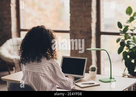 Foto ritratto indietro dorso posteriore vista della ragazza su cui lavora computer portatile in ufficio industriale con grandi finestre Foto Stock