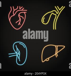 Icona al neon degli organi interni umani impostata in stile linea. Simboli del cuore, del fegato, della milza e della cistifellea. Illustrazione vettoriale. Illustrazione Vettoriale