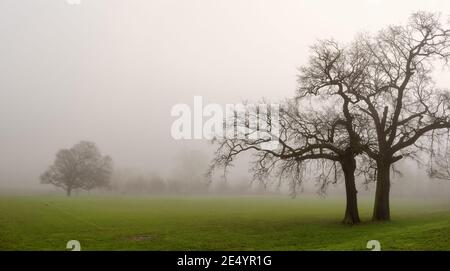 Misty mattina a Harrow sui campi della Hill School, Inghilterra Foto Stock