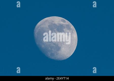 Londra, Regno Unito. 25 gennaio 2021. Regno Unito Meteo – UNA luna gibbosa al 90% si erge sopra Londra nord-occidentale in un pomeriggio limpido. Il tempo nuvoloso dovrebbe arrivare nei prossimi giorni. Credit: Stephen Chung / Alamy Live News Foto Stock