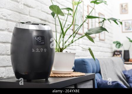 Umidificatore a nebbia fredda a ultrasuoni per la casa su un piccolo tavolo in soggiorno Foto Stock
