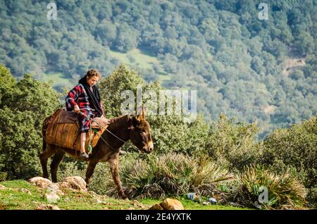 Azrou, Marocco - 09 aprile 2015. Giovane ragazza berbera carina a cavallo sull'asino in montagna Foto Stock