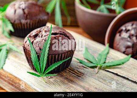 Muffin di cupcake al cioccolato con erbacce di cannabis cbd. Marijuana medica canapa farmaci nel dessert alimentare, la legalizzazione ganja. Cottura di alghe di cioccolato Foto Stock