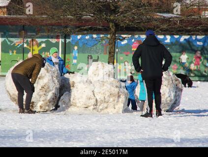 Bedford, Regno Unito. 25 Gennaio 2021. Un gruppo di adulti e bambini da un mucchio di enormi palle di neve con neve caduto su gran parte del sud e dell'est del paese la domenica, il sole è uscito per Lunedi. I cieli blu e il sole hanno reso le cose più piccole pittoresche. Bedford ha avuto la sua prima nevicata significativa in diversi anni. Bedford, Regno Unito Lunedì 25 Gennaio 2021 Credit: KEITH MAYHEW/Alamy Live News Foto Stock