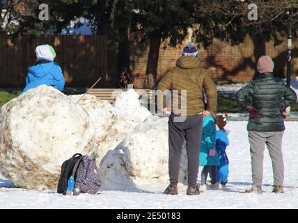 Bedford, Regno Unito. 25 Gennaio 2021. Un gruppo di adulti e bambini da un mucchio di enormi palle di neve con neve caduto su gran parte del sud e dell'est del paese la domenica, il sole è uscito per Lunedi. I cieli blu e il sole hanno reso le cose più piccole pittoresche. Bedford ha avuto la sua prima nevicata significativa in diversi anni. Bedford, Regno Unito Lunedì 25 Gennaio 2021 Credit: KEITH MAYHEW/Alamy Live News Foto Stock