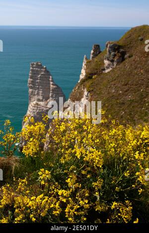 L'ago - l'Aiguille - Etretat, Normandia, Francia Foto Stock