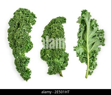Foglie di calice verde isolate su sfondo bianco, vista dall'alto Foto Stock