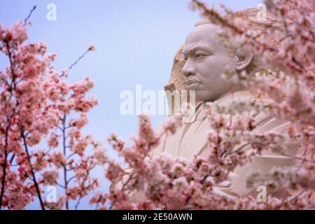 WASHINGTON - 8 APRILE 2015: Il memoriale al leader dei diritti civili Martin Luther King, Jr. Durante la stagione primaverile nel West Potomac Park. Foto Stock