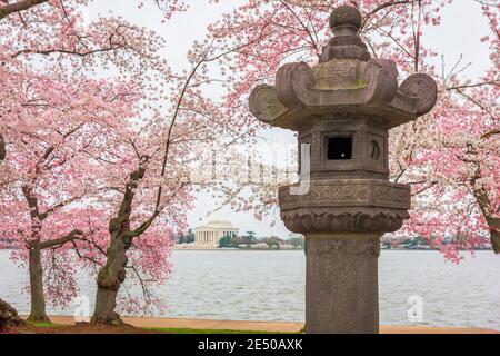La Lanterna giapponese a West Potomac Park intorno al bacino di Tidal a Washington DC. Foto Stock