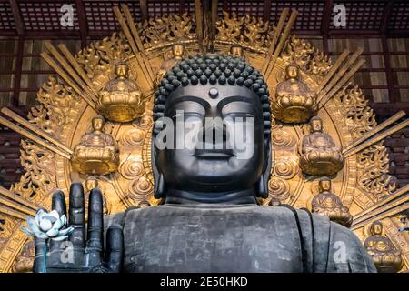 Vista ravvicinata simmetrica dell'enorme statua in bronzo del Buddha All'interno del tempio Todai-ji a Nara Foto Stock