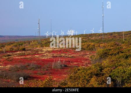 Il Waymart Wind Energy Center sulla Moosic Mountain, nella Pennsylvania nord-orientale, è il più grande impianto di generazione di vento della Pennsylvania. Foto Stock