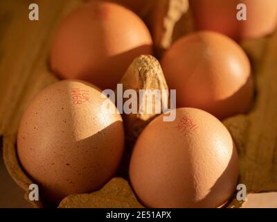 Scatole di uova di classe A gratuite al sole del pomeriggio. Foto Stock