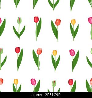 Motivo senza cuciture con tulipani di fiori primaverili di diversi colori: Rosso, giallo, rosa, verde. Immagine vettoriale piatta con sfondo bianco Illustrazione Vettoriale