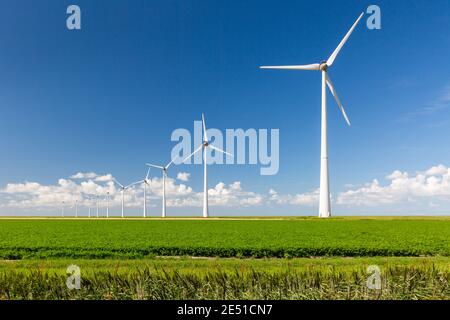 Una lunga fila di turbine eoliche che emergono dall'erba verde e contro un cielo azzurro estivo con nuvole lontane Foto Stock