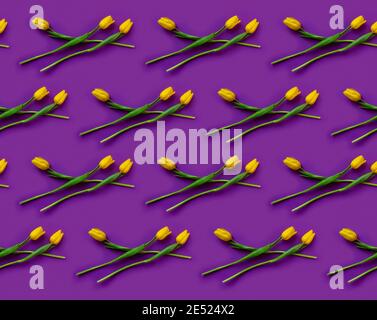 Motivo moderno di fiori di tulipano gialli su sfondo viola. Concetto di primavera Foto Stock