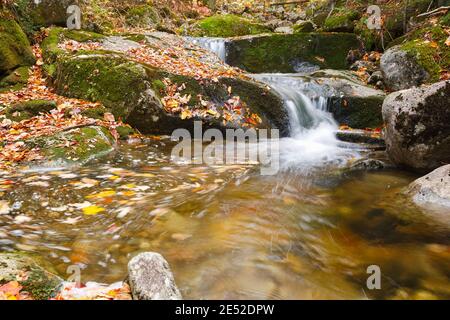 Cascata lungo il Clough Mine Brook, un affluente del fiume Lost, in kinsman Notch a North Woodstock, New Hampshire durante i mesi autunnali. Foto Stock