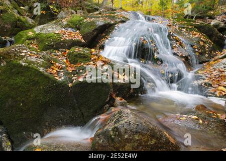 Cascata lungo il Clough Mine Brook, un affluente del fiume Lost, in kinsman Notch a North Woodstock, New Hampshire durante i mesi autunnali. Foto Stock