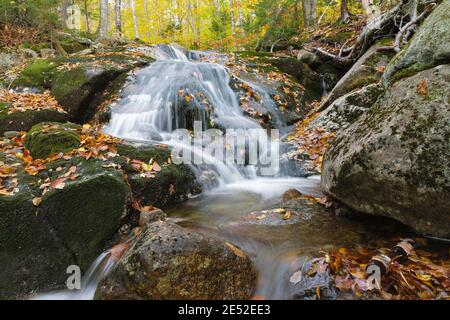 Cascata lungo il Clough Mine Brook, un affluente del fiume Lost, in kinsman Notch a North Woodstock, New Hampshire durante i mesi autunnali. Foto Stock