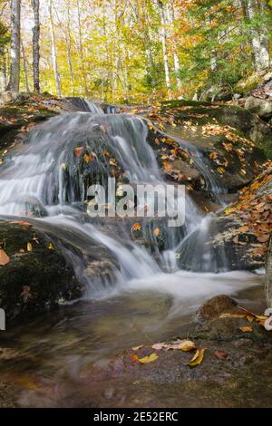 Cascata lungo il Clough Mine Brook, un affluente del fiume Lost, in kinsman Notch a North Woodstock, New Hampshire durante i mesi autunnali. Foto Stock