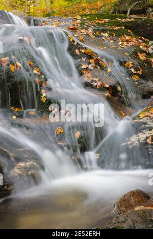 Cascata lungo il Clough Mine Brook, un affluente del fiume Lost, in kinsman Notch a North Woodstock, New Hampshire durante i mesi autunnali. Foto Stock