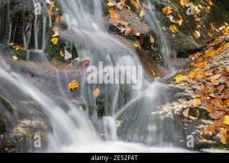 Cascata lungo il Clough Mine Brook, un affluente del fiume Lost, in kinsman Notch a North Woodstock, New Hampshire durante i mesi autunnali. Foto Stock