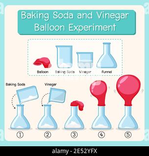 Esperimento scientifico con bicarbonato di sodio e aceto palloncino illustrazione Illustrazione Vettoriale