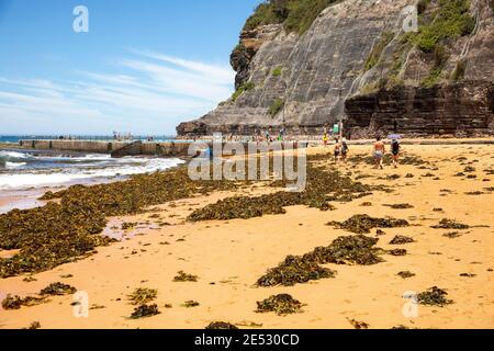 Bilgola Beach a Sydney, NSW, alghe sulla spiaggia e rete di rocce installate sulla scogliera sopra la piscina dell'oceano, Sydney, Australia Foto Stock