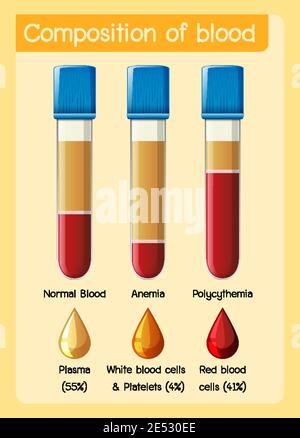 Composizione del sangue diagramma illustrativo Illustrazione Vettoriale